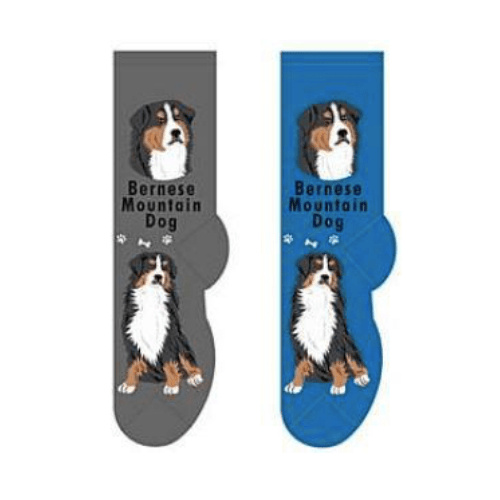 Bernese Mountain Dog Socks Main Image