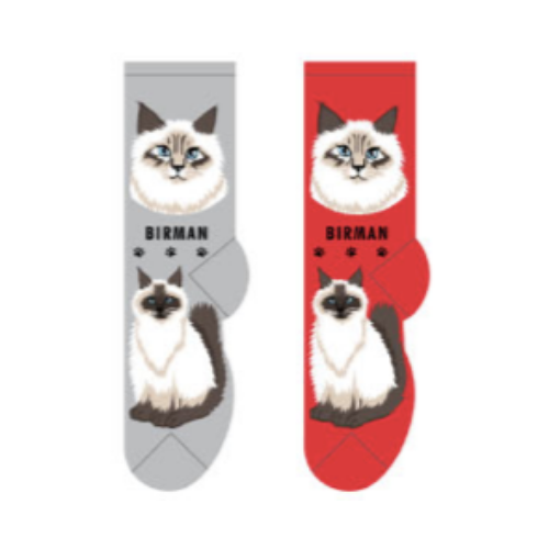 Birman Feline Collection Socks
