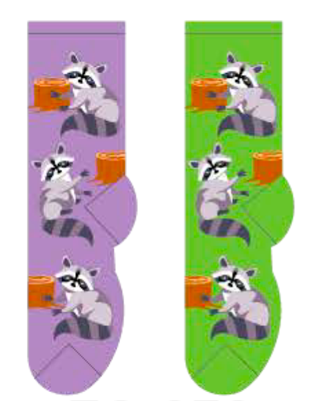 Racoons