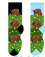 Bison Women's