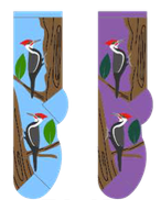 Woodpeckers