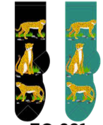 Cheetah