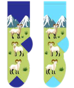 Rams
