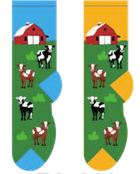 Grazing Cows