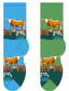 Texas Longhorn Men's