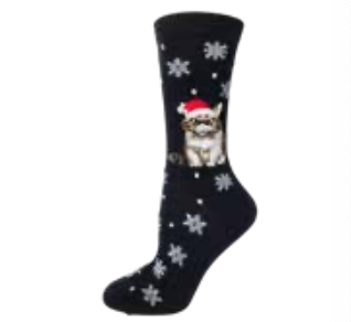 Angry Santa Cat