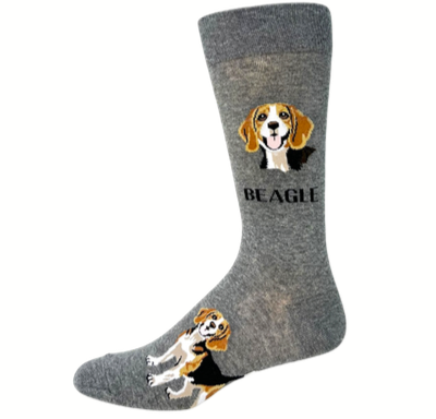 Beagle Hover Image