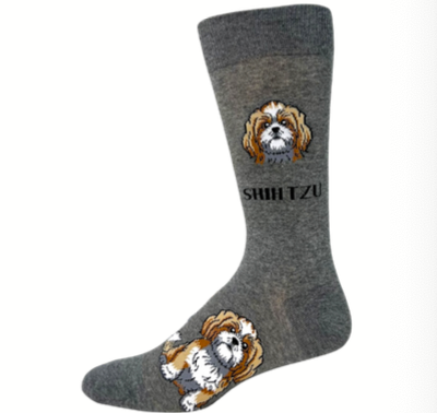 Shih Tzu