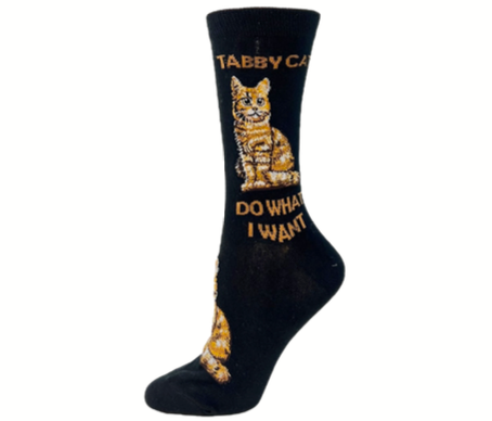 Tabby Cat Hover Image