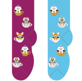 Tea Cup Dogs