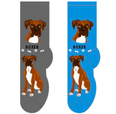 Boxer Hover Image