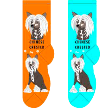 Chinese Crested