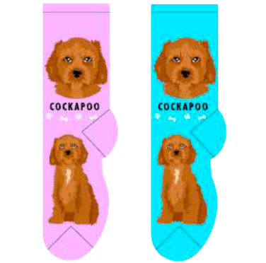 Cockapoo Hover Image