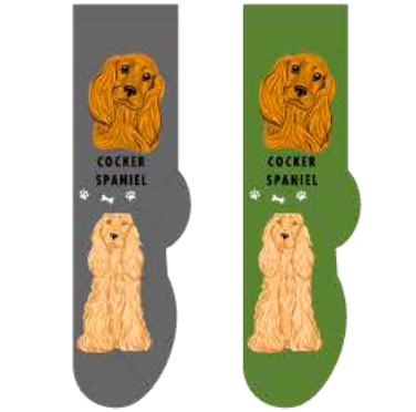 Cocker Spaniel