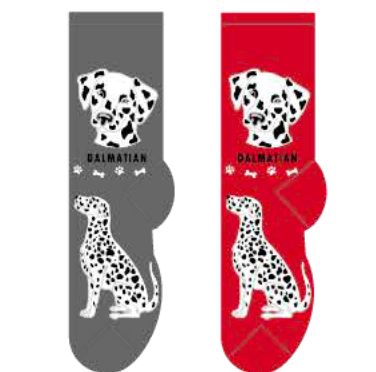 Dalmatian Main Image