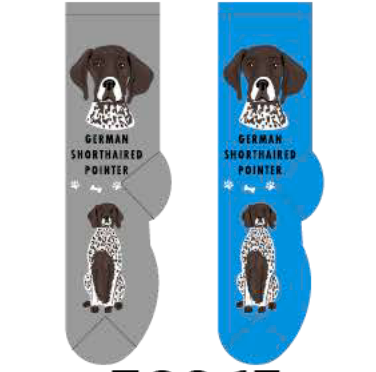 German Shorthaired Pointer Hover Image