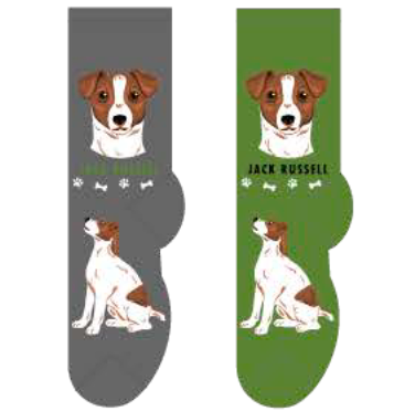 Jack Russell Main Image