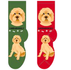 Labradoodle