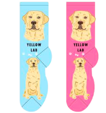 Yellow Lab