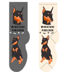 Miniature Pinscher