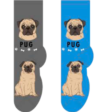 Pug Hover Image