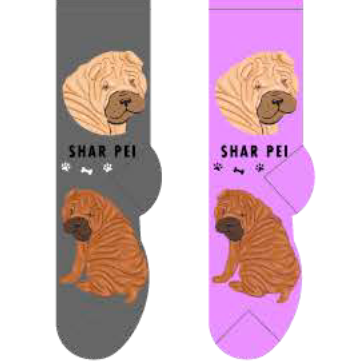 Shar Pei