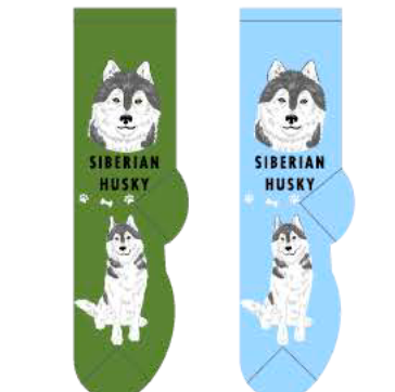 Siberian Husky Main Image