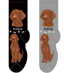 Vizsla