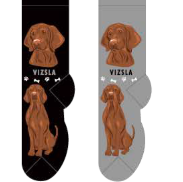Vizsla Main Image