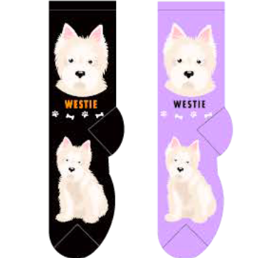 Westie