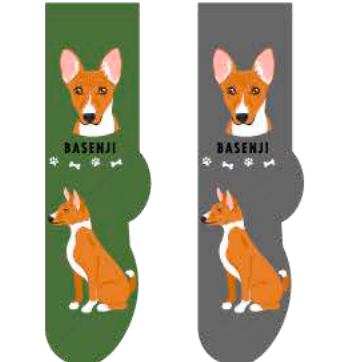 Basenji