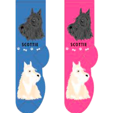 Scottie Hover Image
