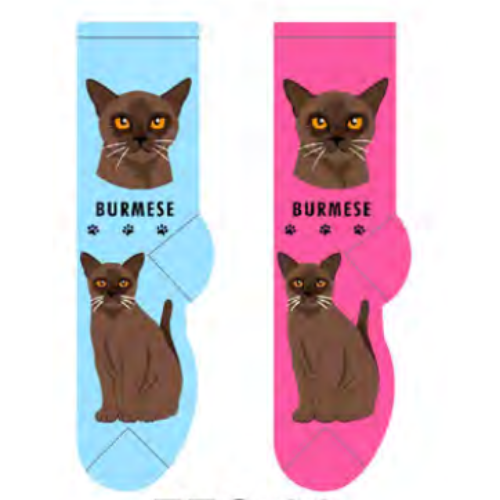 Burmese Feline Collection Socks