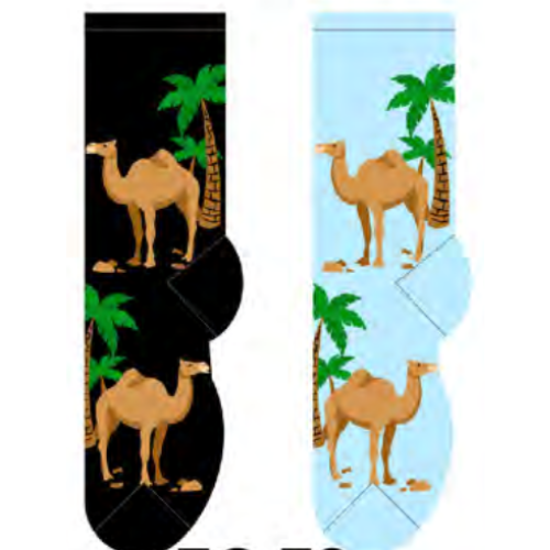 Camels Socks Main Image