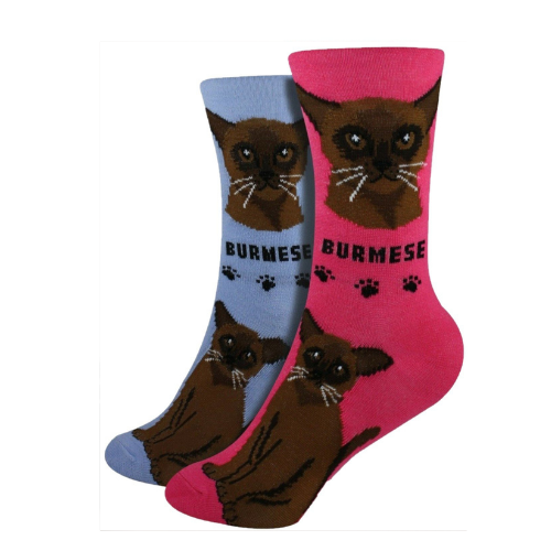 Burmese Feline Collection Socks