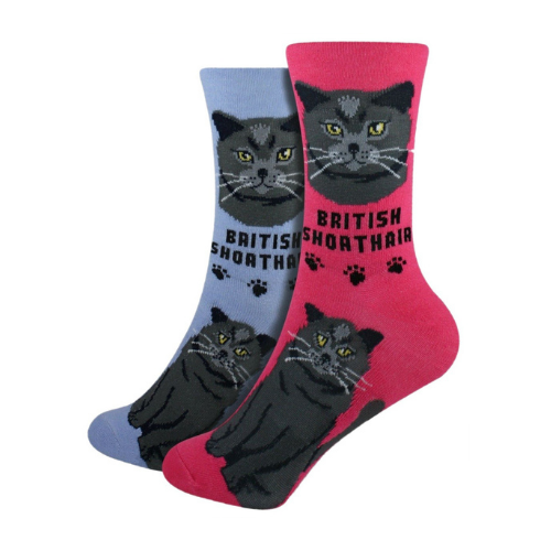 British Shorthair Feline Collection Socks