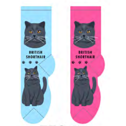 British Shorthair Feline Collection Socks Main Image
