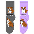 Bulldog Canine Collection Socks