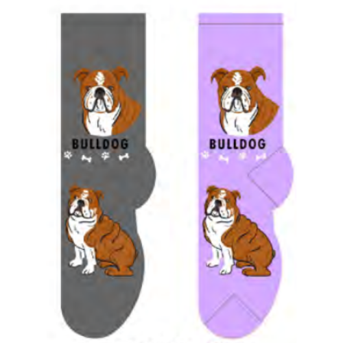 Bulldog Canine Collection Socks