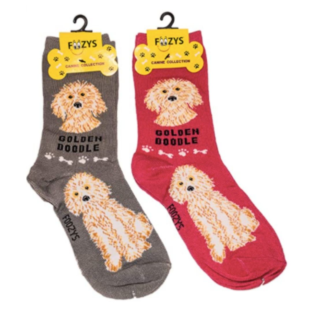Golden Doodle Canine Collection Socks
