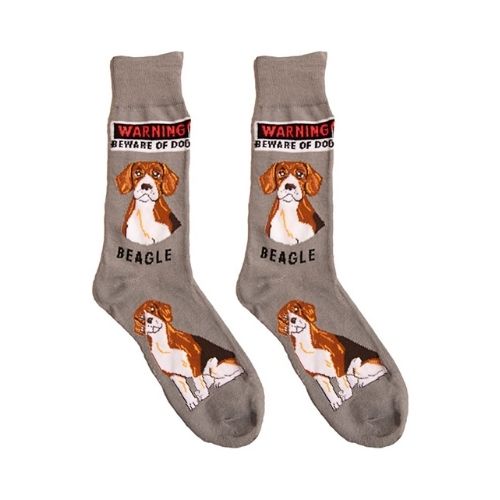 Beagle