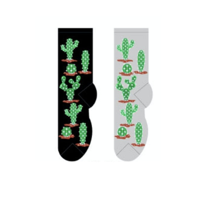 Cactus Hover Image