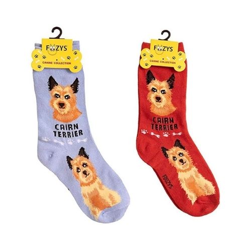 Cairn Terrier