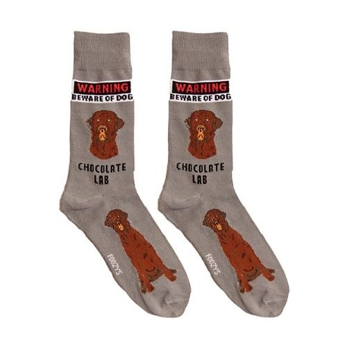 Chocolate Lab