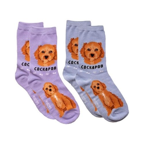 Cockapoo