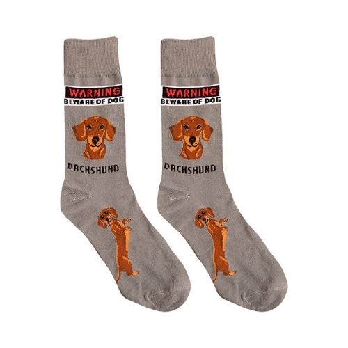 Dachshund