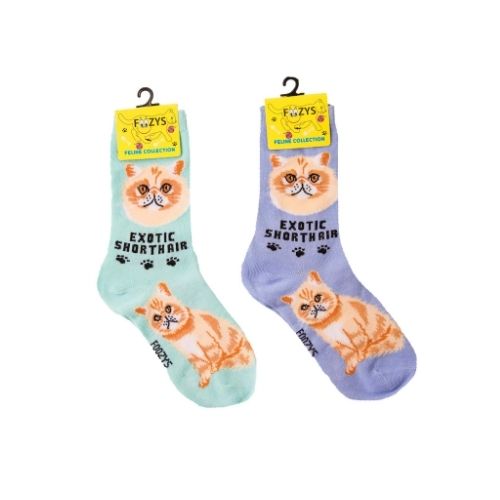 Exotic Shorthair Feline Collection Socks