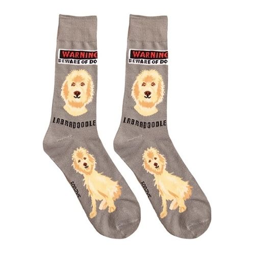 Labradoodle Hover Image