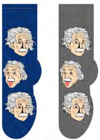 Albert Einstein Men's Socks