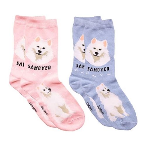 Samoyed Hover Image